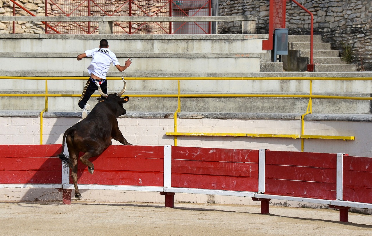 新起点