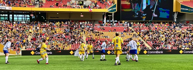 观赏性也在 观赏性也在