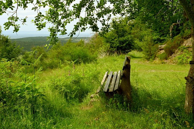 正式出任费 正式出任费