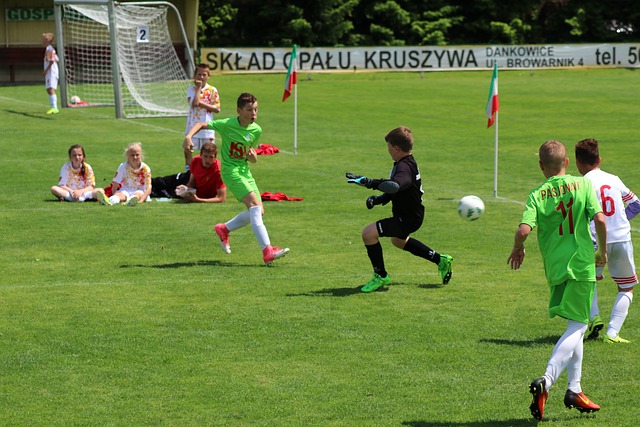 观众提供了 观众提供了